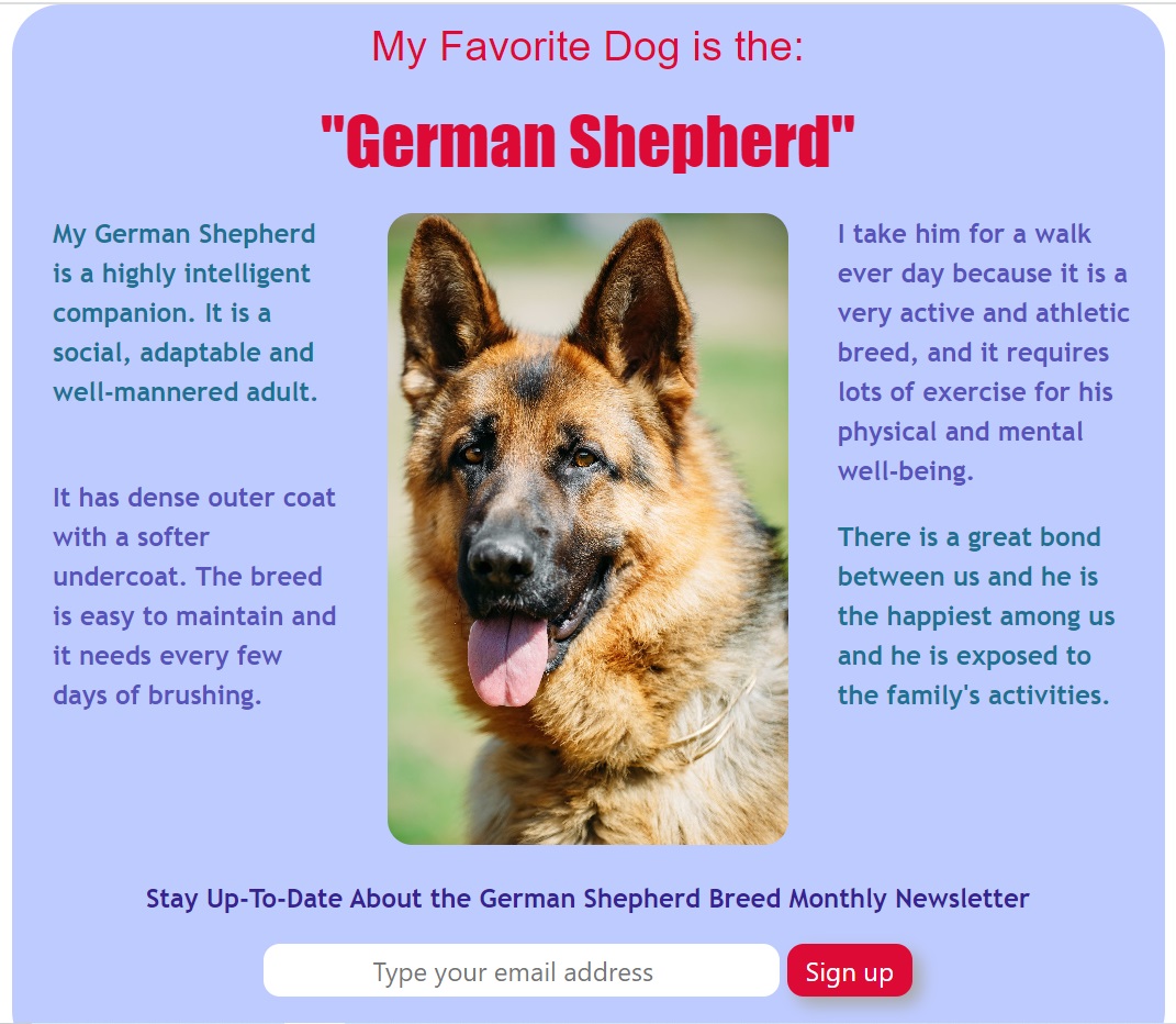 a german shepherd dog